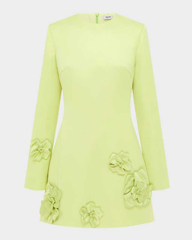 Aliza Floral Applique Fit-&-Flare Mini Dress